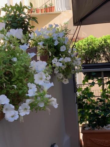 Appartamento La Terrazza Del Duomo A Pistoia Esterno foto